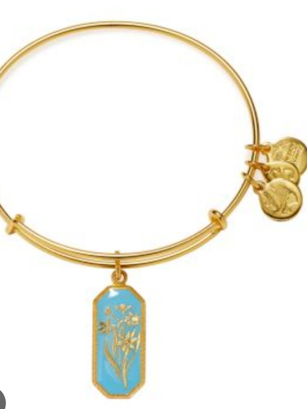 NWT Alex & Ani Forest Nymph Jonquil Charm Bangle Bracelet Shiny Gold Tone